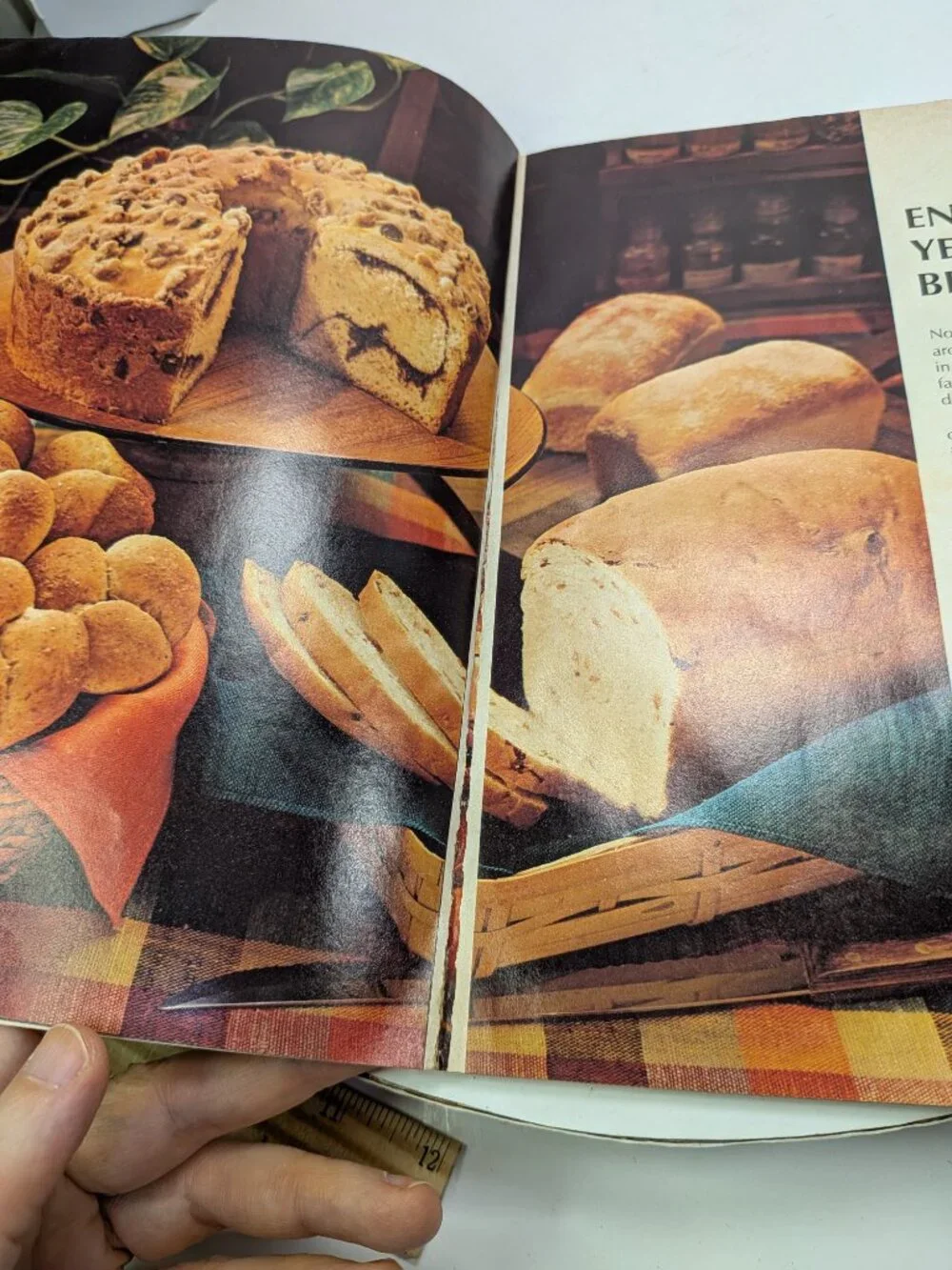 Better Homes And Gardens this classic